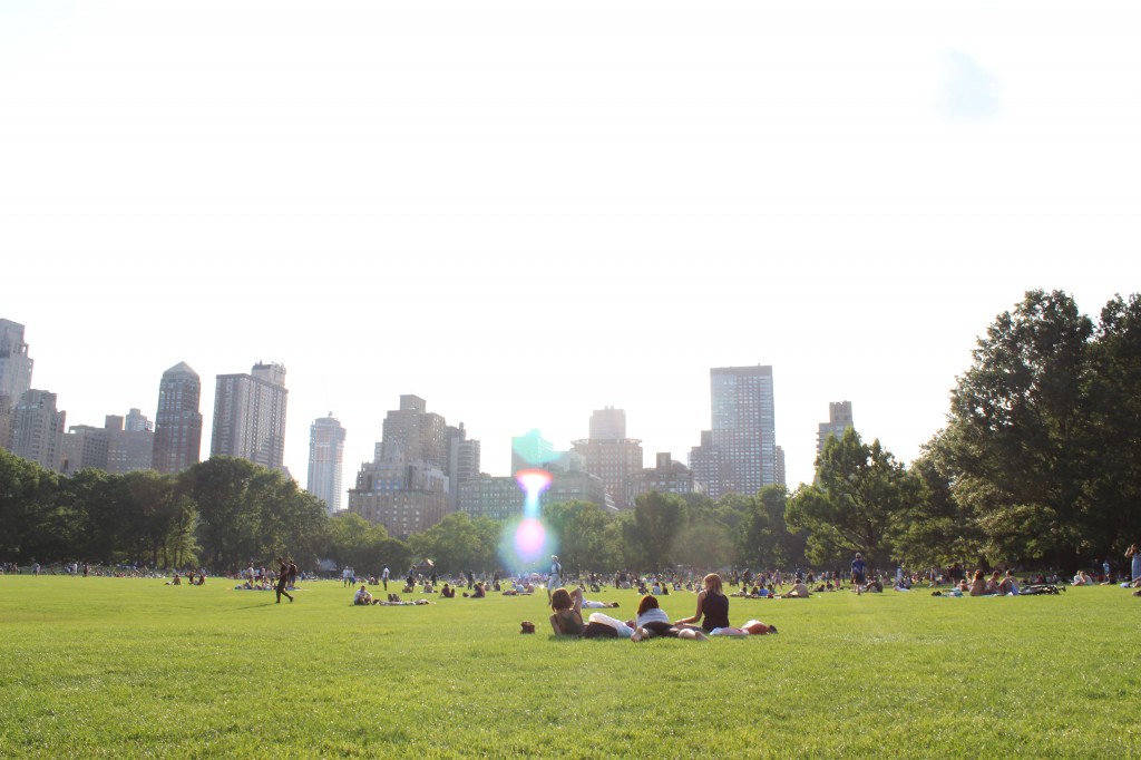 Enjoying a sunny day, picnicking on the grass, in Central Park, Manhattan, NYC. (2013)